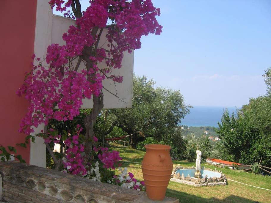 Vakantiehuis Alta Mare - Up To 13p *