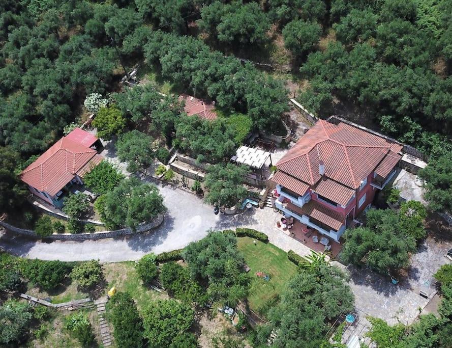 Vakantiehuis Alta Mare - Up To 13p *