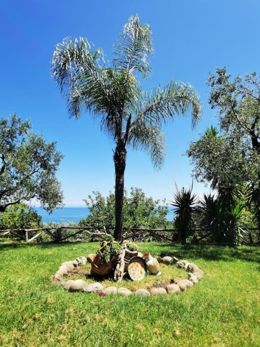 Alta Mare - Up To 13p Vakantiehuis