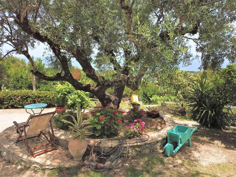 Alta Mare - Up To 13p Vakantiehuis *